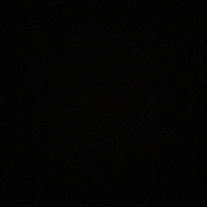 Meet your Posher, Peyton